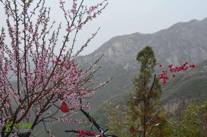 骑行沣峪登观音山DSC_0053