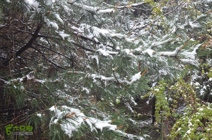 骑行沣峪登观音山DSC_0061