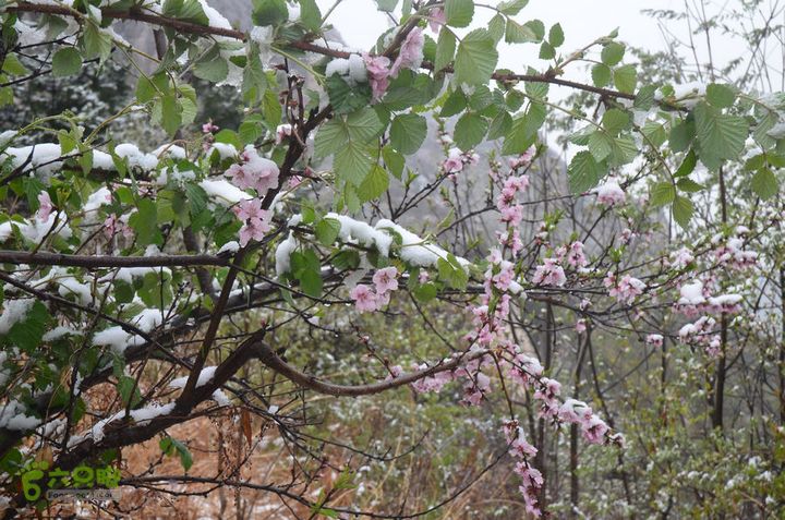 骑行沣峪登观音山DSC_0067