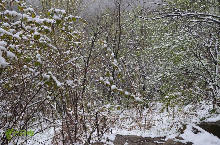 骑行沣峪登观音山DSC_0069