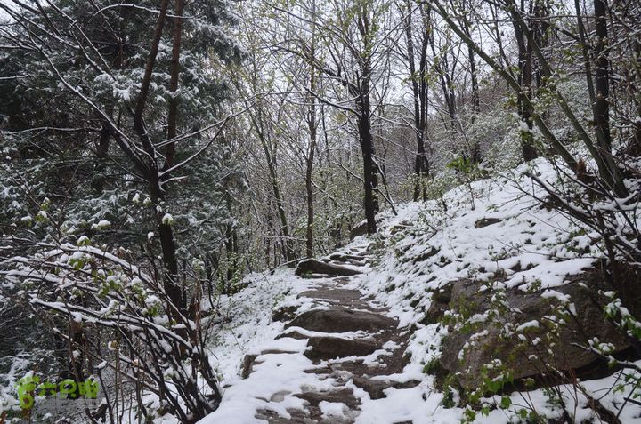 骑行沣峪登观音山DSC_0070
