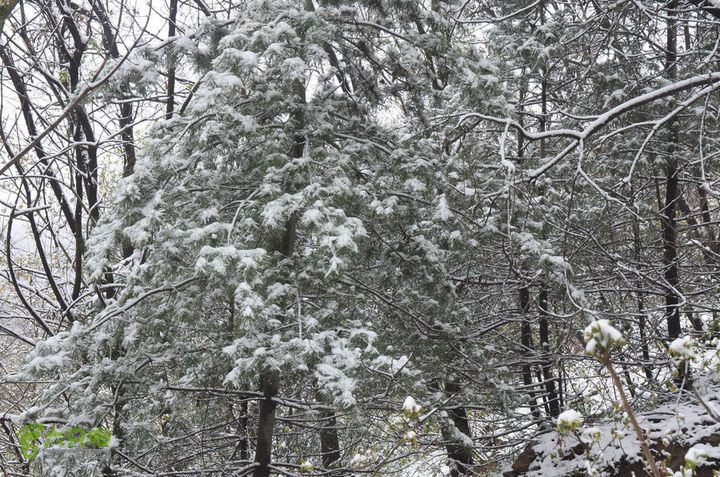 骑行沣峪登观音山DSC_0071