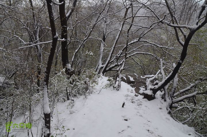 骑行沣峪登观音山DSC_0075