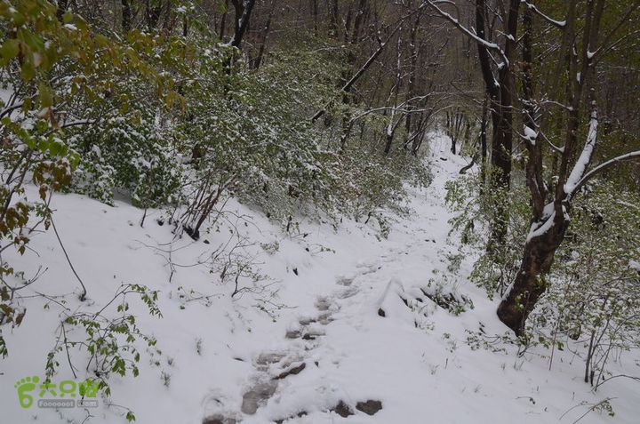 骑行沣峪登观音山DSC_0078