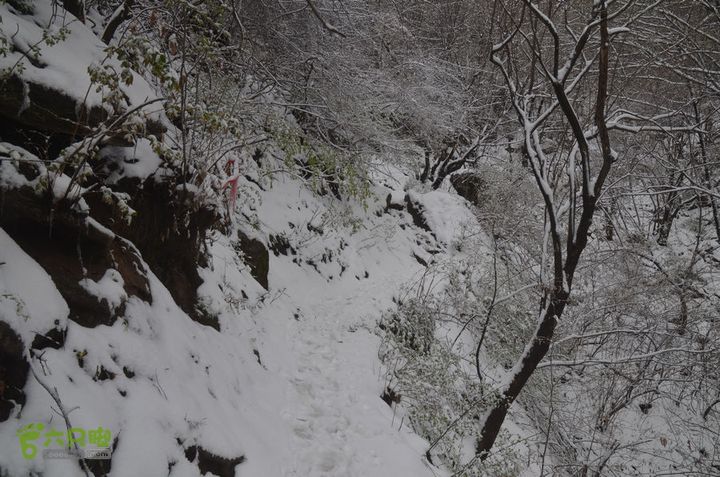 骑行沣峪登观音山DSC_0081