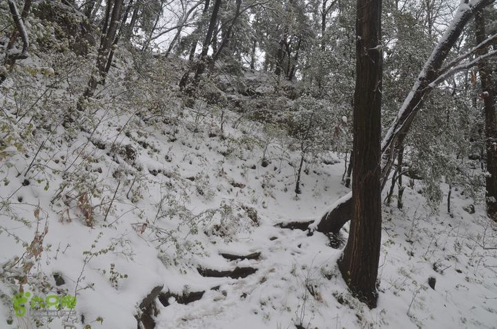 骑行沣峪登观音山DSC_0084