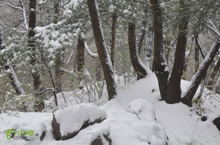 骑行沣峪登观音山DSC_0086