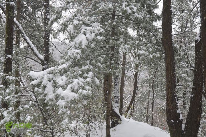 骑行沣峪登观音山DSC_0087