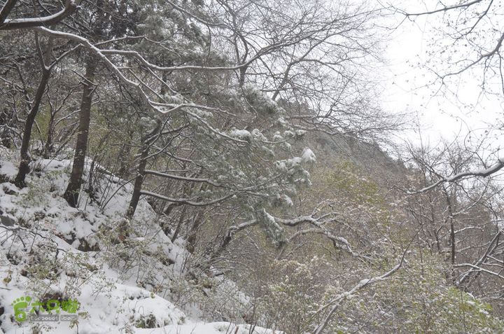骑行沣峪登观音山DSC_0088