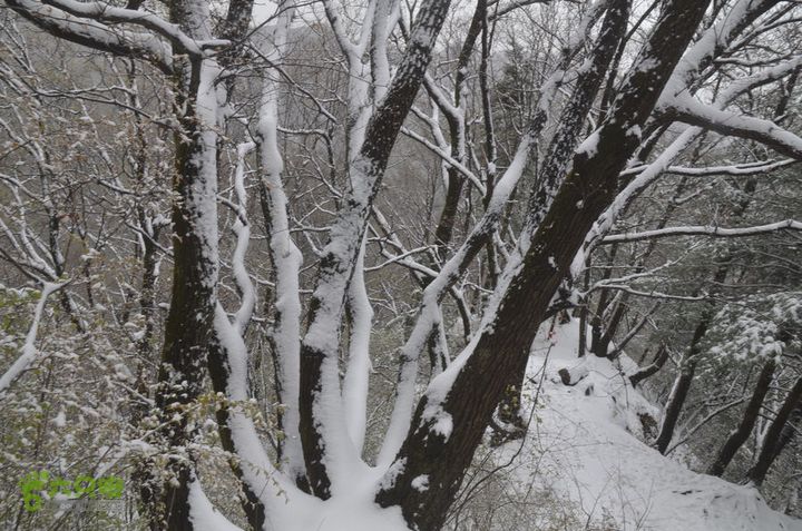 骑行沣峪登观音山DSC_0089