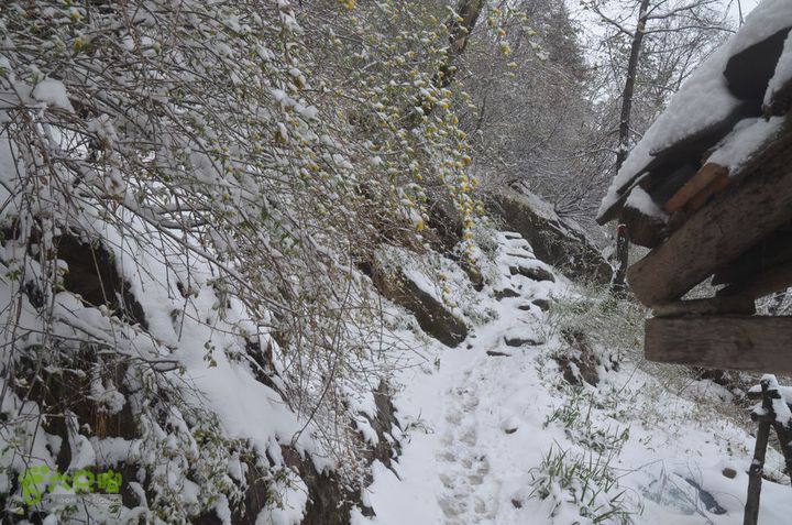 骑行沣峪登观音山DSC_0092