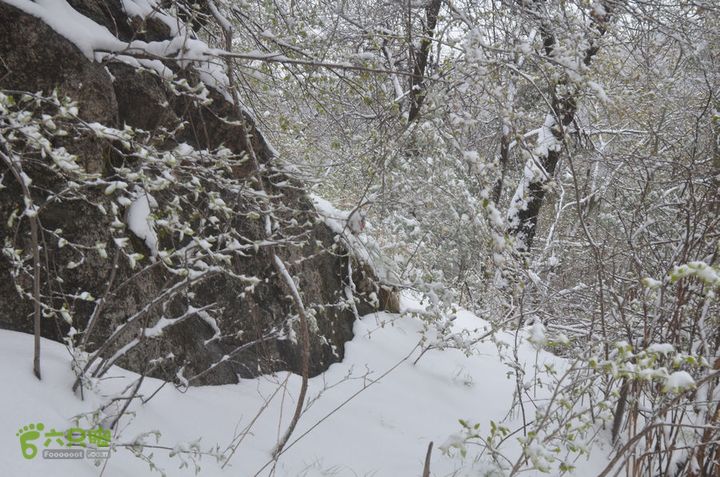 骑行沣峪登观音山DSC_0093