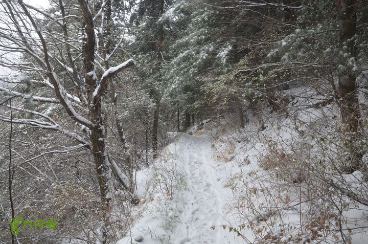 骑行沣峪登观音山DSC_0102