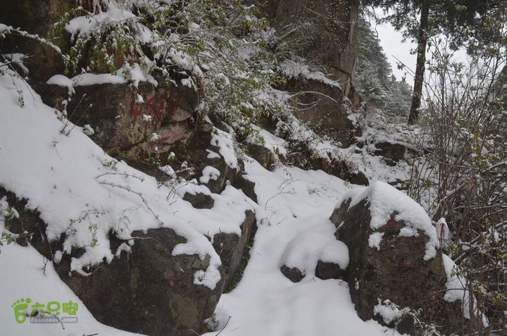 骑行沣峪登观音山DSC_0105