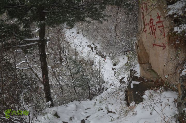 骑行沣峪登观音山DSC_0108