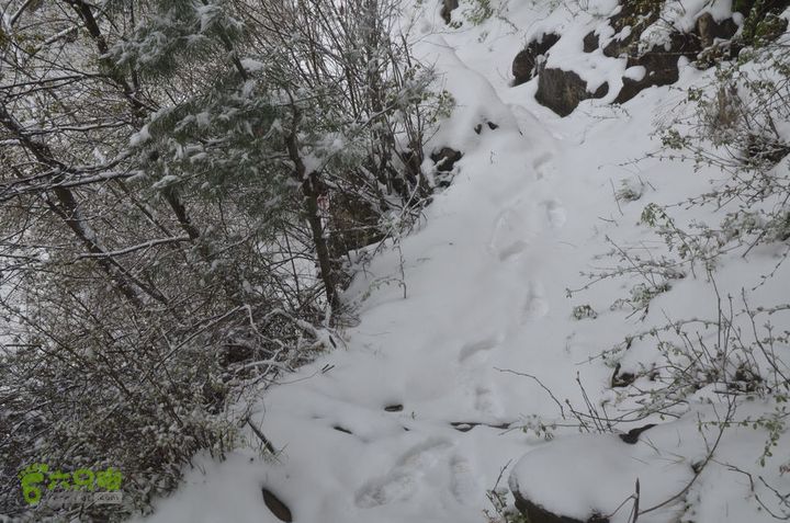 骑行沣峪登观音山DSC_0109