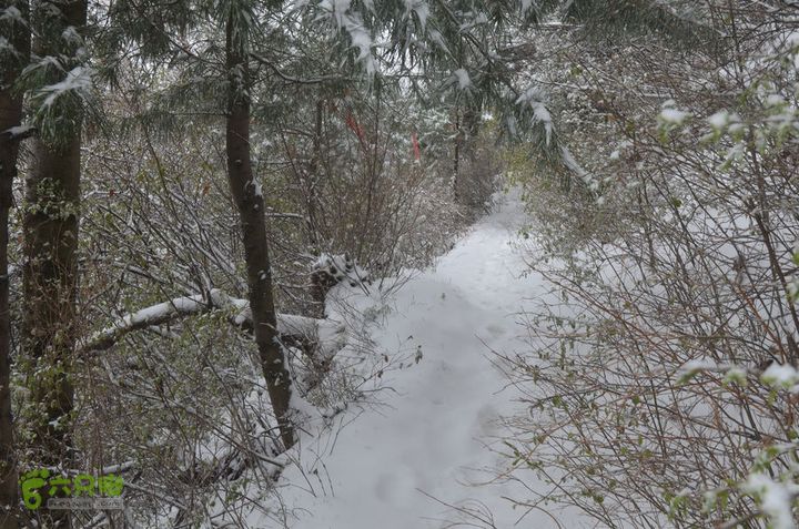 骑行沣峪登观音山DSC_0111
