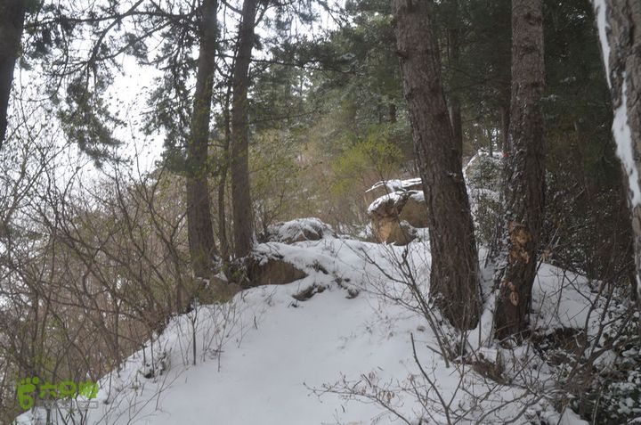 骑行沣峪登观音山DSC_0112