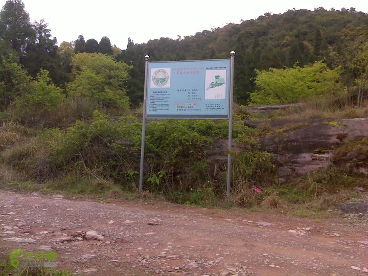 西塔山水塘山白云尖凤凰山DSC00145