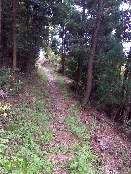 西塔山水塘山白云尖凤凰山DSC00146