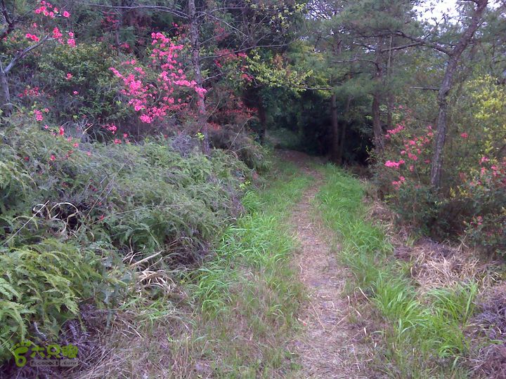 西塔山水塘山白云尖凤凰山DSC00147