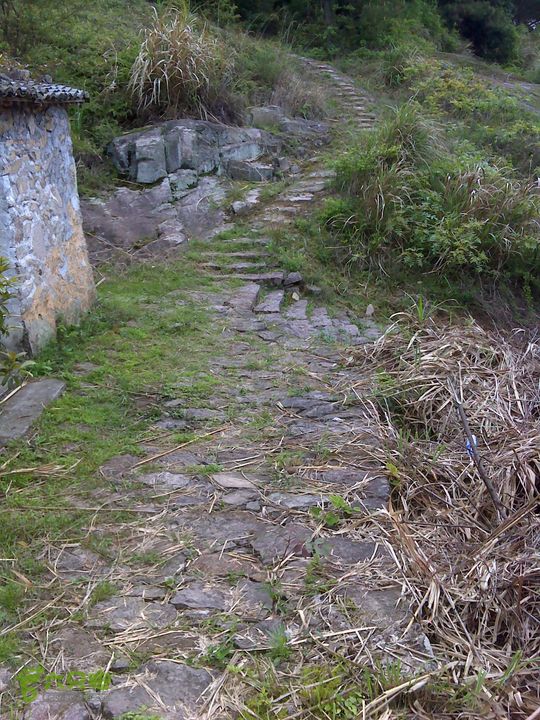 西塔山水塘山白云尖凤凰山DSC00148