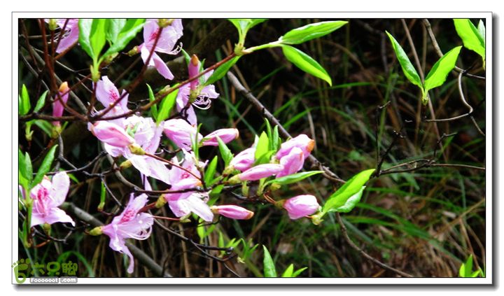 【西南骑兵团】2013清明平利乡村骑行IMG_5890