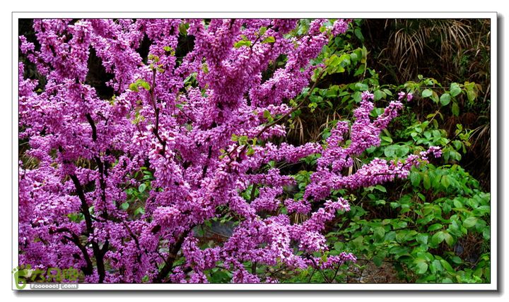 【西南骑兵团】2013清明平利乡村骑行IMG_5891