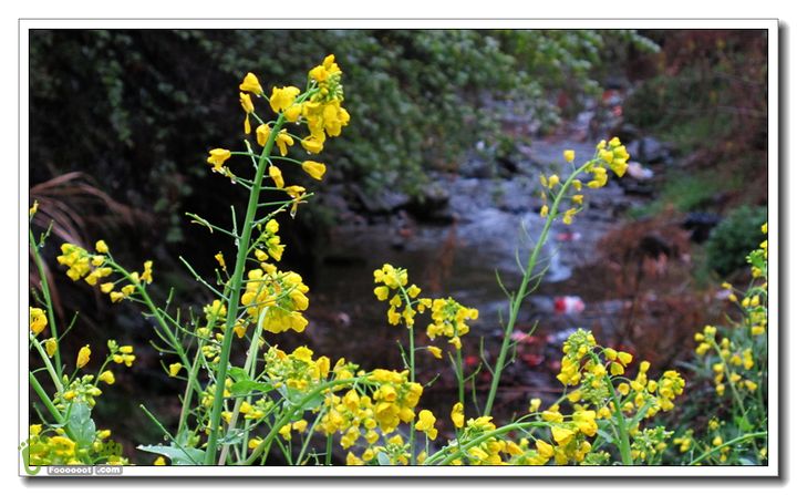 【西南骑兵团】2013清明平利乡村骑行IMG_5893