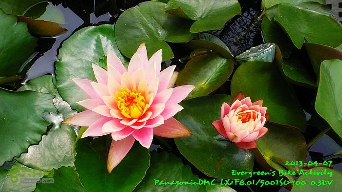 2013 04 07 九龍新界超大環迴P1540203