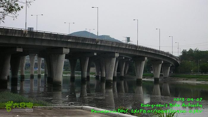 2013 04 07 九龍新界超大環迴P1540206