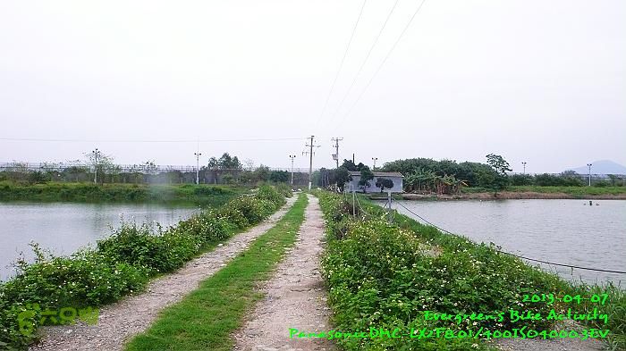 2013 04 07 九龍新界超大環迴P1540222