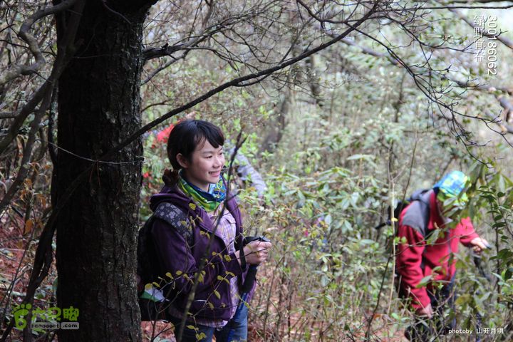 12只脚与宜春太平山20在树下小憩