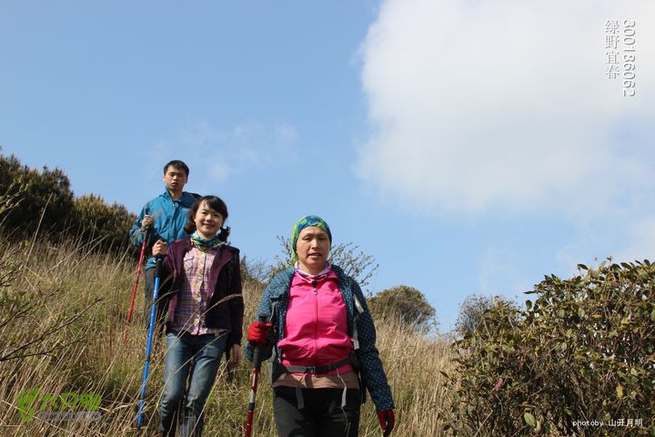 12只脚与宜春太平山05高山上的来客