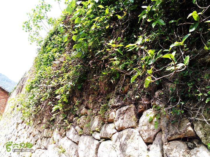 访廉村古村、走廉岭古道IMAG8217