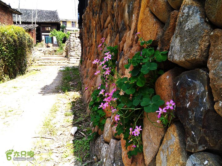 访廉村古村、走廉岭古道IMAG8223