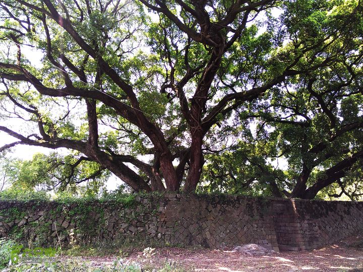 访廉村古村、走廉岭古道IMAG8225