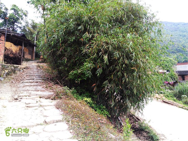 访廉村古村、走廉岭古道IMAG8243