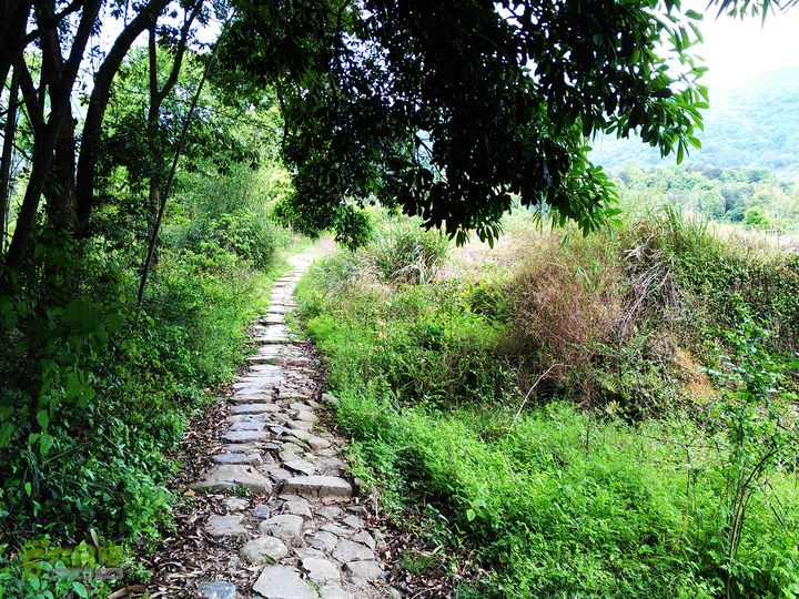 访廉村古村、走廉岭古道IMAG8247