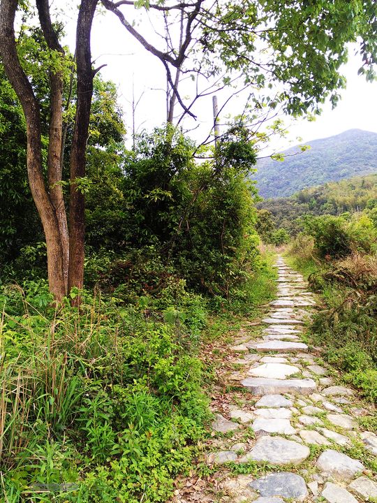 访廉村古村、走廉岭古道IMAG8249