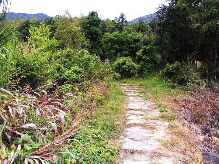 访廉村古村、走廉岭古道IMAG8253