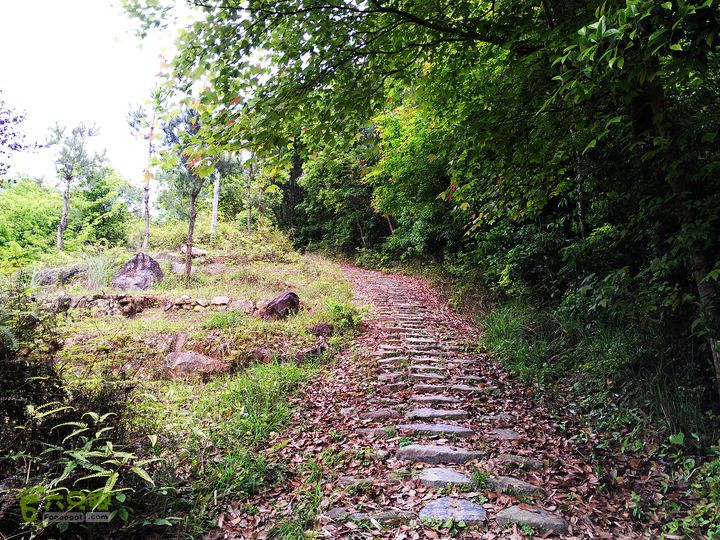 访廉村古村、走廉岭古道IMAG8255