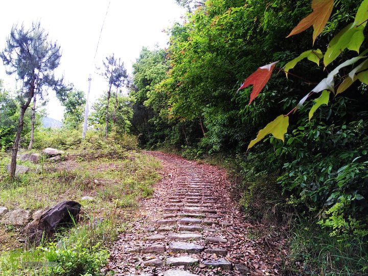 访廉村古村、走廉岭古道IMAG8257