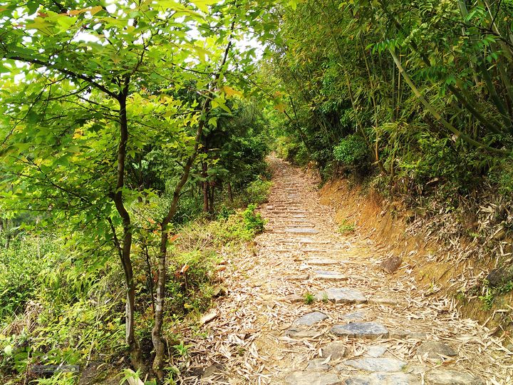 访廉村古村、走廉岭古道IMAG8259