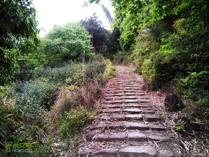 访廉村古村、走廉岭古道IMAG8260