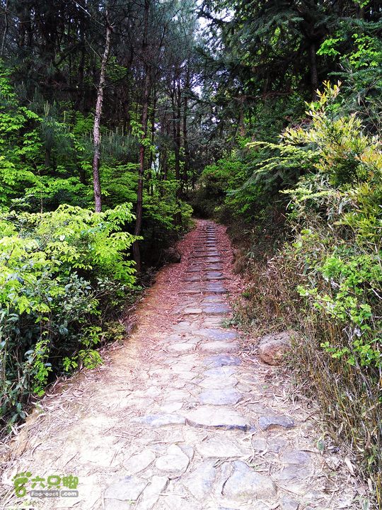 访廉村古村、走廉岭古道IMAG8261