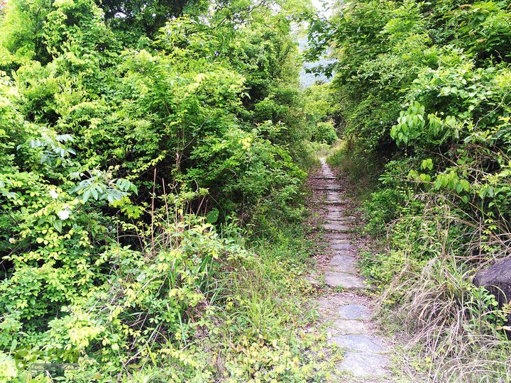 访廉村古村、走廉岭古道IMAG8264