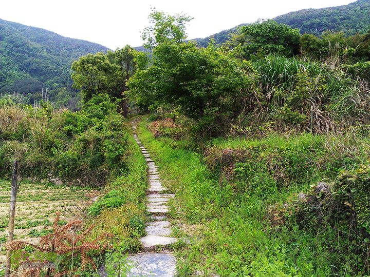 访廉村古村、走廉岭古道IMAG8265