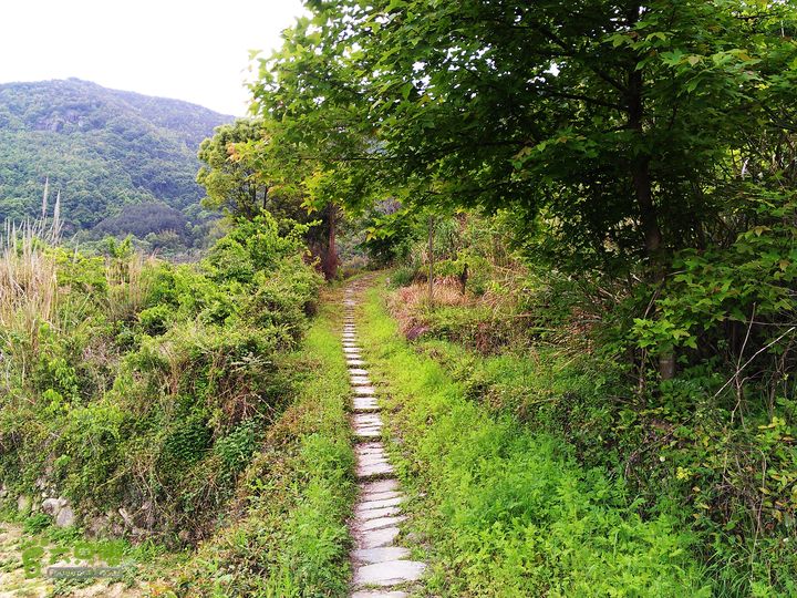 访廉村古村、走廉岭古道IMAG8266