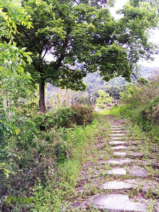 访廉村古村、走廉岭古道IMAG8267